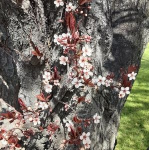 Meet your Posher, Terry lee noble